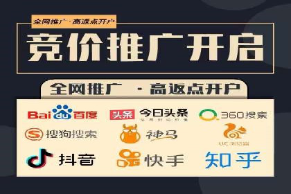 百度竞价广告投放全解析：成功案例揭秘